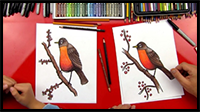 How to Draw a Robin Bird (Realistic)
