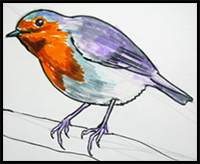 How to Draw a Robin Redbreast Tutorial
