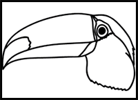 How to Draw a Toucan Face