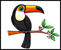 How to Draw a Toucan Bird