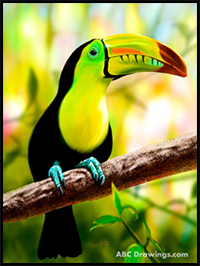 How to Draw a Toucan | Easy Step-by-Step Video Tutorial for Kids