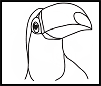 How to Draw a Toucan Head