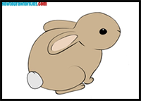 How to Draw a Rabbit Easy for Kids