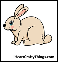 How to Draw a Rabbit – A Step by Step Guide
