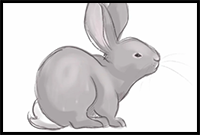 Draw a Bunny So Cute You’ll Want to Cuddle It