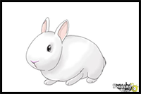 How to Draw a Bunny Step by Step