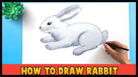 How to Draw Rabbit Step by Step Instructions