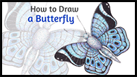 How to Draw a Butterfly with Black Lines and Colorful Stippling