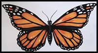 This is How to Draw a Butterfly in 10 Steps