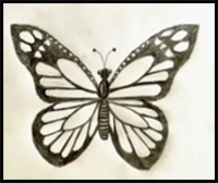 How to Draw a Butterfly – Easy Step-By-Step Drawing Tutorial