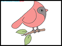How to Draw a Cardinal Bird
