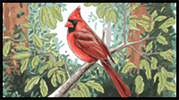 How to Draw a Cardinal in Just 9 Easy Steps