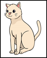 How to Draw a Cat – a Step by Step Guide