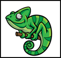 How to Draw a Chameleon – a Step by Step Guide