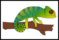 How to Draw a Chameleon Step by Step