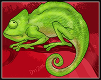 How to Draw a Chameleon