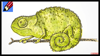 How to Draw a Chameleon Real Easy
