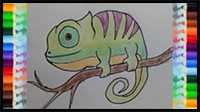 How to Draw a Chameleon Step by Step | Easy Animals to Draw