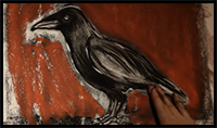 Crow Drawing Tutorial with Kat Thorsen