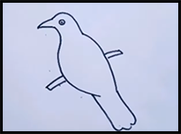 How to Draw a Crow