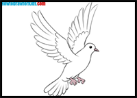 How to Draw Dove for Kids