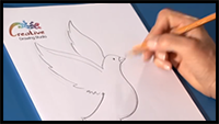 How to Learn to Draw a Dove