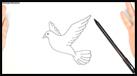 How to Draw a Dove for Kids | Dove Drawing Tutorial
