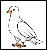 How to Draw a Dove – Step by Step Guide