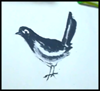 How to Draw Magpie Step by Step (Pastels Color)