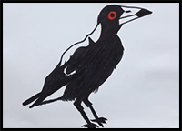 How to Draw a Magpie