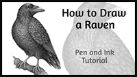 How to Draw a Raven with Pen and Ink