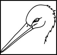 How to Draw a Stork Face