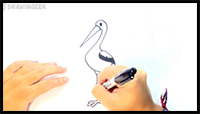 How to Draw a Stork for Kids