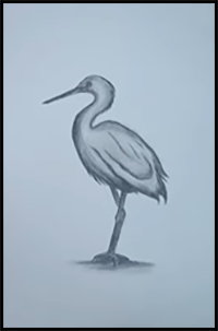 How to Draw a Stork Easy