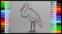How to Draw a Stork Step by Step