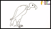 How to Draw a Vulture Step by Step - Vulture Drawing Easy