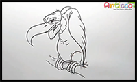 How to Draw a Cartoon Vulture Step by Step
