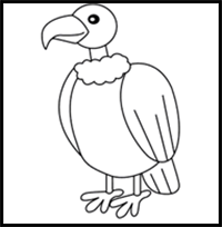 How to Draw a Simple Vulture for Kids
