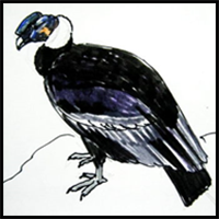Learn how to Draw a Vulture
