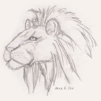 How to Draw Lions : Drawing Tutorials & Drawing & How to Draw Lion