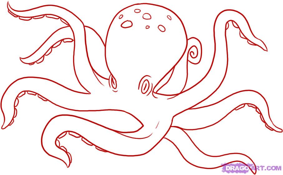 How to draw octopus