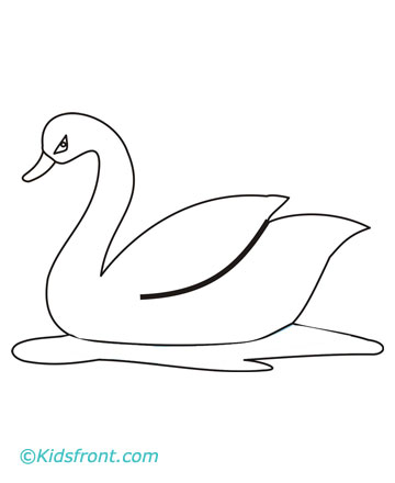 How to Draw Swans : Drawing Tutorials & Drawing & How to Draw Swan ...