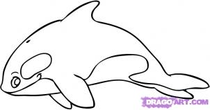 Featured image of post Cartoon Orca Whale Drawing Orcas on white background seamless pattern vector