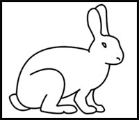 how to draw a rabbit