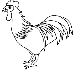 How to Draw Chickens / Roosters
