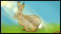 How to Draw Cartoon Rabbits : Cartooning Lessons