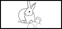 How to Draw Easter Rabbits Drawing Instructional Tutorials