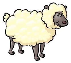 How to Draw a Sheep in 4 Steps : Drawing Lessons