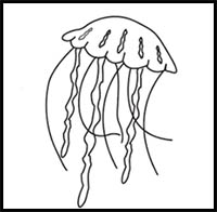 How To Draw Cartoon Jellyfish Realistic Jellyfish Drawing Tutorials Drawing How To Draw Jellyfish Drawing Lessons Step By Step Techniques For Cartoons Illustrations