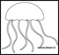 Drawing Jellyfish